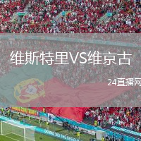 维斯特里VS维京古