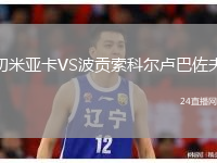 切米亚卡VS波贡索科尔卢巴佐夫