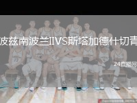 波兹南波兰IIVS斯塔加德什切青
