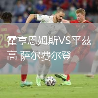 霍亨恩姆斯VS平茲高 萨尔费尔登