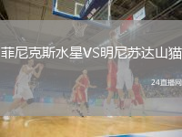 菲尼克斯水星VS明尼苏达山猫