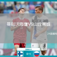 曼利沃海鹰VS山丘黄蜂