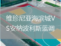 维珍尼亚海滨城VS安纳波利斯蓝调