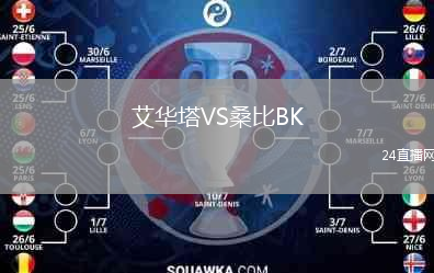 艾华塔VS桑比BK