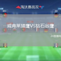 威弗莱猎鹰VS钻石谷鹰
