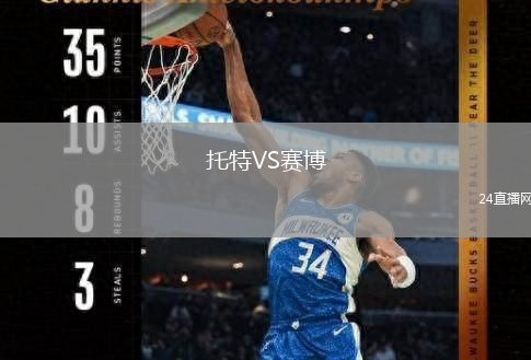 托特VS赛博