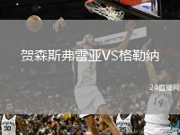 贺森斯弗雷亚VS格勒纳