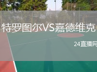 特罗图尔VS嘉德维克