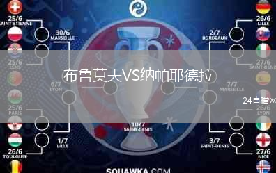 布鲁莫夫VS纳帕耶德拉