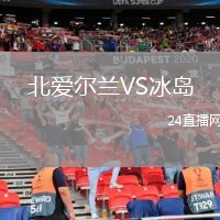北爱尔兰VS冰岛