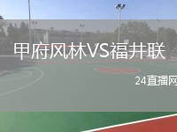 甲府风林VS福井联