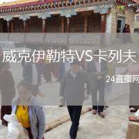 威克伊勒特VS卡列夫